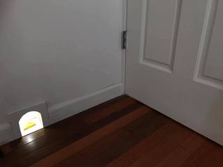 83574923_2709687505776284_815247915915149312_n.jpg