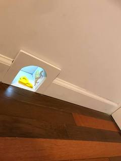 84137080_2709687412442960_1388963479741792256_n.jpg