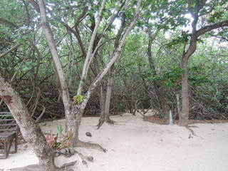 DSCN2257.JPG