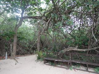 DSCN2258.JPG