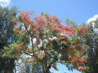 DSCN2376.JPG