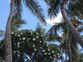DSCN2384.JPG