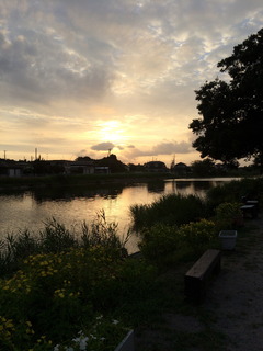 IMG_2060.jpg