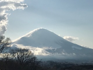 IMG_3190.jpg