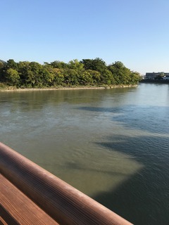 IMG_6432.jpg
