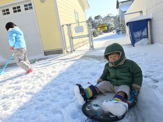 IMG_7826.jpg
